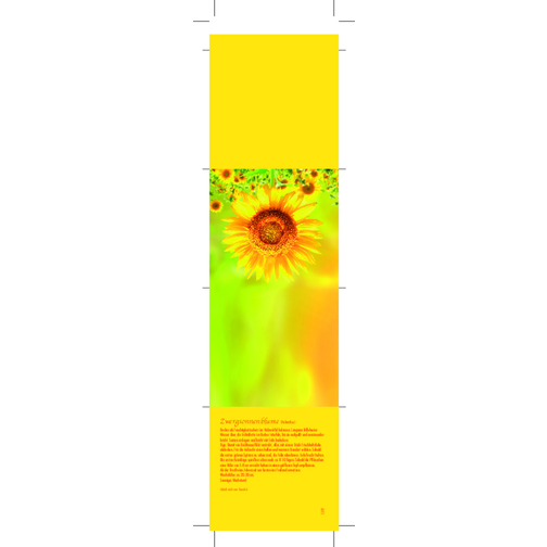 Großer Natur-Würfel Sonne , grün, Holz, Papier, Samen, Kokosfaser, Folie, Pappe, 7,00cm x 7,00cm x 7,00cm (Länge x Höhe x Breite), Bild 3