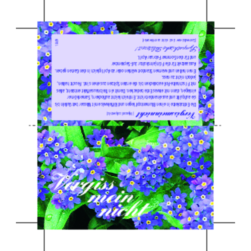 Blühendes Herz , blau, Folie, Papier, Samen, Kokosfaser, 7,20cm x 1,20cm x 12,00cm (Länge x Höhe x Breite), Bild 2