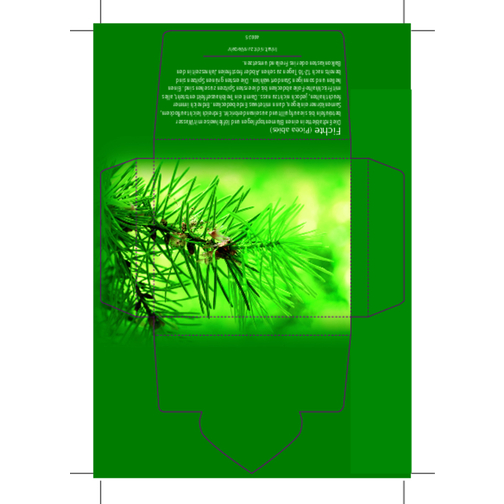 Fichten-Päckchen , grün, Papier, Kokosfaser, Samen, 8,00cm x 0,40cm x 6,00cm (Länge x Höhe x Breite), Bild 3
