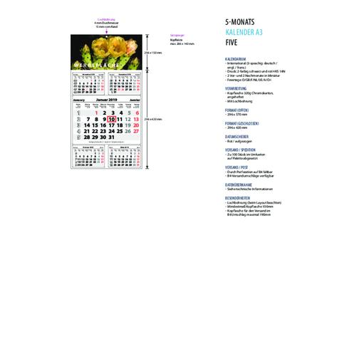 5-Monats DIN A3 Kalender 'Five' , weiß, Kopflasche: 290 g/m² Chromokarton, Kalenderblätter: 70 g/m² holzfrei weiß, chlorfrei gebleicht, 42,00cm x 29,60cm (Höhe x Breite), Bild 3