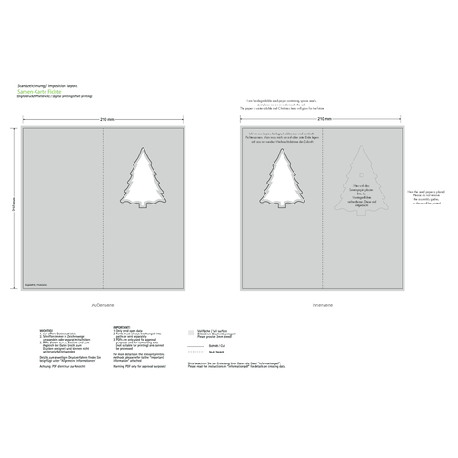 Samenpapier-Karte Fichte - Fichte 4/0-c , individuell, Papier, Samen, 21,00cm x 10,50cm (Länge x Breite), Bild 6