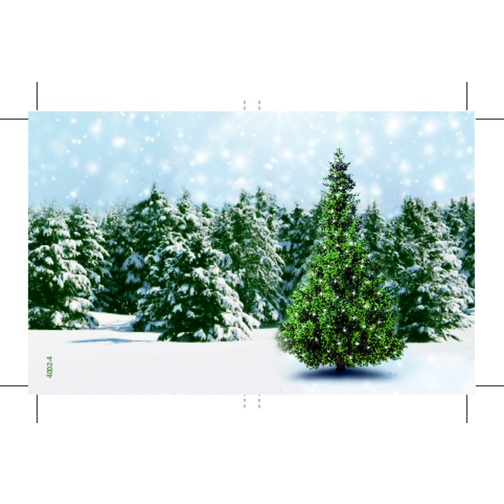Wachstumskärtchen Weihnachtsbaum , grün, Papier, Folie, Kokosfaser, Samen, 7,00cm x 0,50cm x 9,00cm (Länge x Höhe x Breite), Bild 3