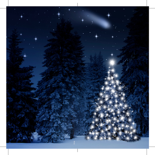 Weihnachtskarte Wintertanne , blau, Papier, Holz, 10,50cm x 21,00cm (Länge x Breite), Bild 3