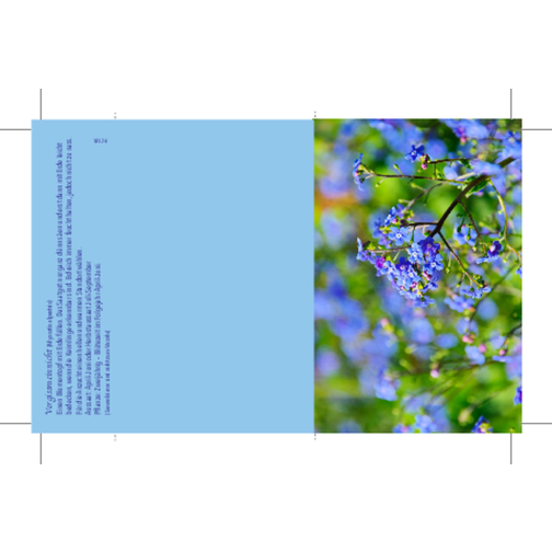 Klappkärtchen Vergissmeinnicht , blau, Papier, Folie, Samen, 9,00cm x 6,00cm (Länge x Breite), Bild 2