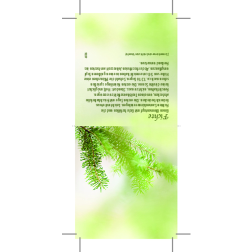 Wachsender Weihnachtsgruss , grün, Holz, Papier, Folie, Samen, 15,00cm x 6,00cm (Länge x Breite), Bild 3