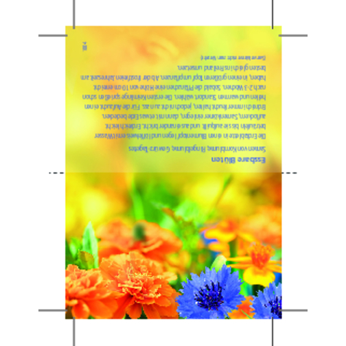 Naturtütchen Essbare Blüten , braun, Papier,  Samen,  Kokosfaser, 6,50cm x 1,50cm x 10,50cm (Länge x Höhe x Breite), Bild 2