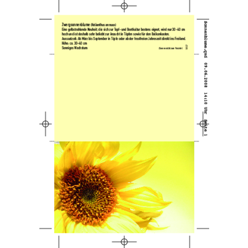 Klappkärtchen Sonne , gelb, Papier, Folie, Samen, 9,00cm x 6,00cm (Länge x Breite), Bild 2