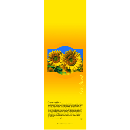 Tontöpfchen Sonne , braun, Ton, Kokosfaser, Folie, Samen, Papier, 6,00cm x 4,00cm x 5,00cm (Länge x Höhe x Breite), Bild 3