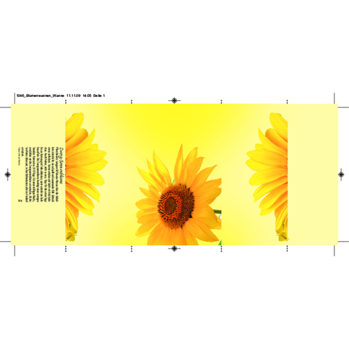 Caja de crecimiento Sol, Imagen 3