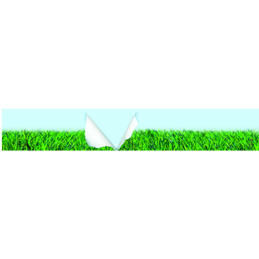 Minigarten Gras Ohne Magnet , grün, Metall, Granulat, Samen, Papier, Kunststoff, 3,80cm (Höhe), Bild 2