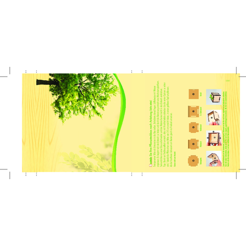 Pflanzsteckbox Natur , grün, Holz, Kokosfaser, Pappe, Folie, Samen, 12,20cm x 1,35cm x 11,90cm (Länge x Höhe x Breite), Bild 4