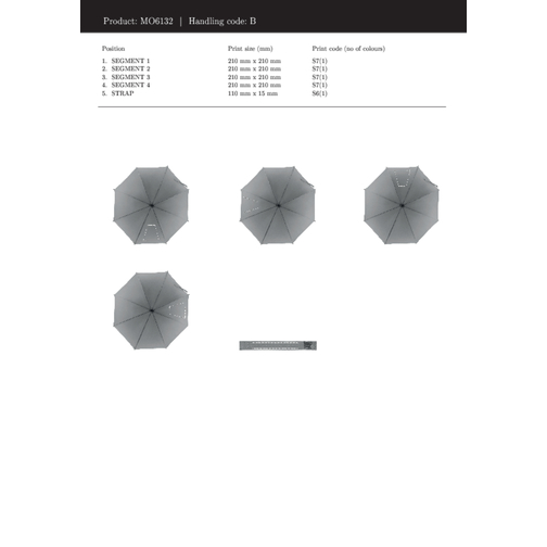 Visibrella, Image 2