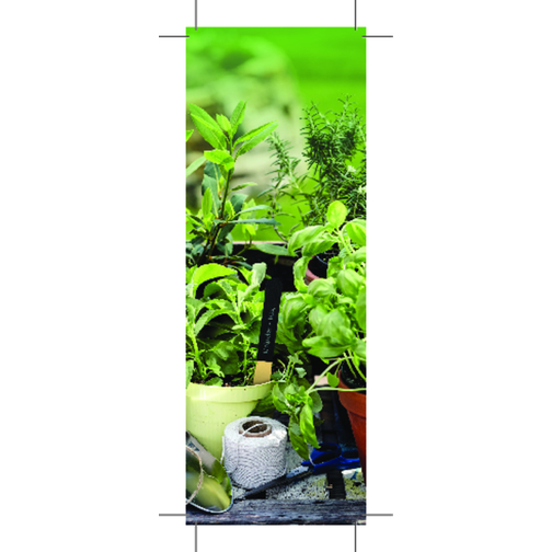 Kräutergärtchen , grün, Papier, Folie, Samen, Holz, 5,80cm x 0,80cm x 15,50cm (Länge x Höhe x Breite), Bild 4