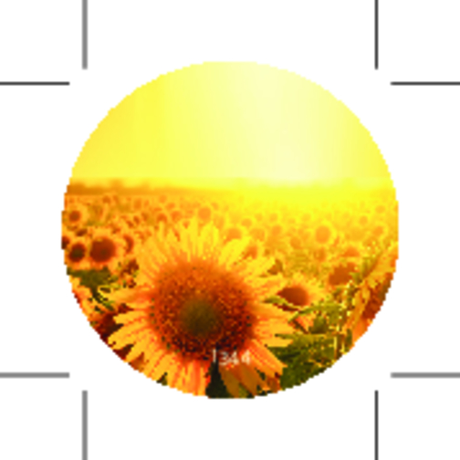 Gläschen Sonne , gelb, Glas, Metall, Gummi,  Kokosfaser,  Samen, Folie, Papier, 7,50cm (Höhe), Bild 2