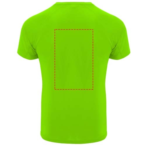 , Bild 8