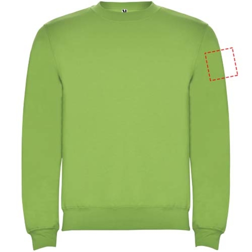 Clasica Sweatshirt Mit Rundhalsausschnitt Für Kinder , oasis green, Strick 50% Baumwolle, 50% Polyester, 280 g/m2, 9/10, , Bild 9
