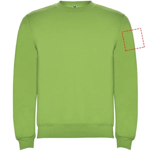 Clasica Sweatshirt Mit Rundhalsausschnitt Für Kinder , oasis green, Strick 50% Baumwolle, 50% Polyester, 280 g/m2, 9/10, , Bild 21