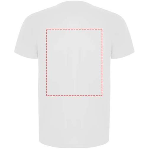 Imola sportowa koszulka męska z krótkim rękawem, Obraz 7