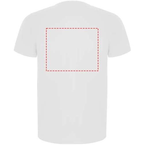 Imola sportowa koszulka męska z krótkim rękawem, Obraz 20