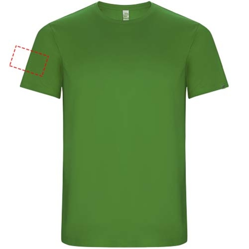 Imola Sport T-Shirt Für Kinder , green fern, Interlock Strick 50% Recyceltes Polyester, 50% Polyester, 135 g/m2, 12, , Bild 5