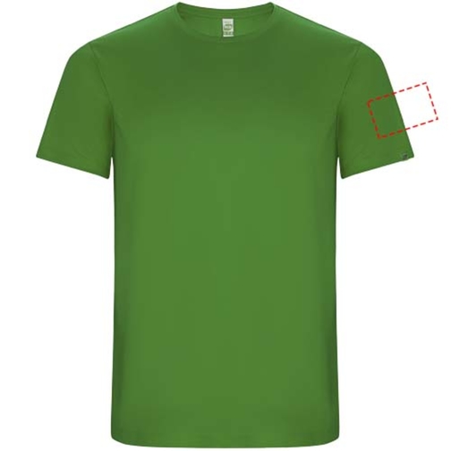 Imola Sport T-Shirt Für Kinder , green fern, Interlock Strick 50% Recyceltes Polyester, 50% Polyester, 135 g/m2, 12, , Bild 15