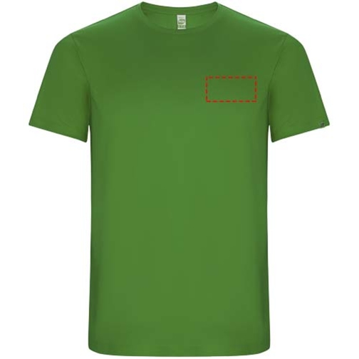 Imola Sport T-Shirt Für Kinder , green fern, Interlock Strick 50% Recyceltes Polyester, 50% Polyester, 135 g/m2, 12, , Bild 6