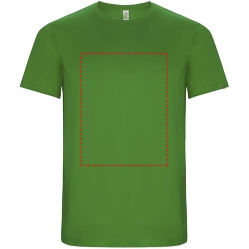 Imola Sport T-Shirt Für Kinder , green fern, Interlock Strick 50% Recyceltes Polyester, 50% Polyester, 135 g/m2, 12, , Bild 10