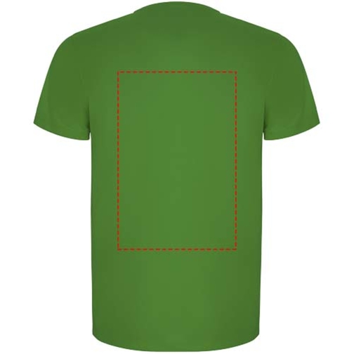 Imola Sport T-Shirt Für Kinder , green fern, Interlock Strick 50% Recyceltes Polyester, 50% Polyester, 135 g/m2, 12, , Bild 12