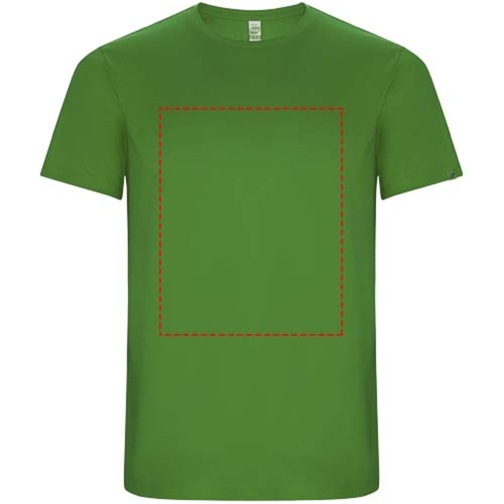 Imola Sport T-Shirt Für Kinder , green fern, Interlock Strick 50% Recyceltes Polyester, 50% Polyester, 135 g/m2, 12, , Bild 11