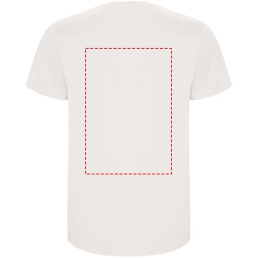T-shirt a maniche corte da uomo Stafford, Immagine 20