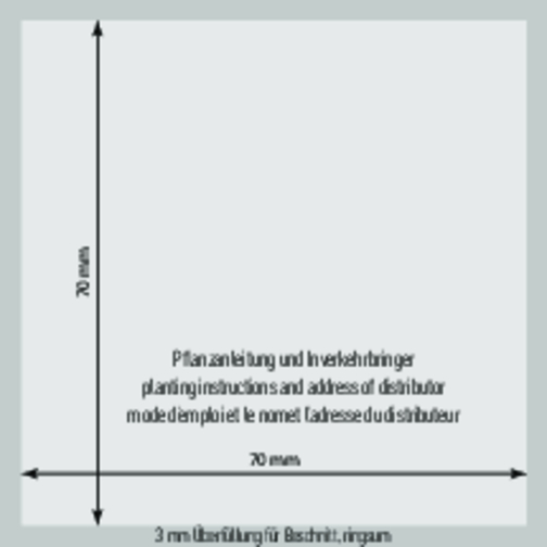 Fröpapperskort stjärna, Bild 3