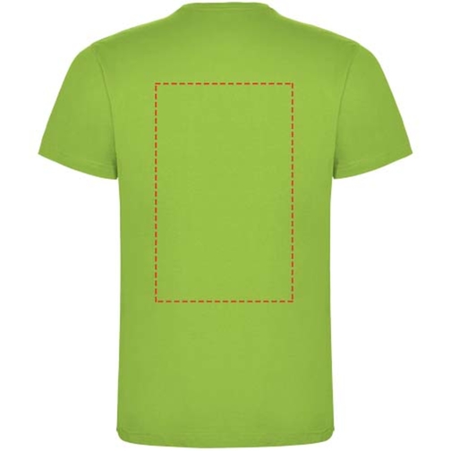 , Bild 6