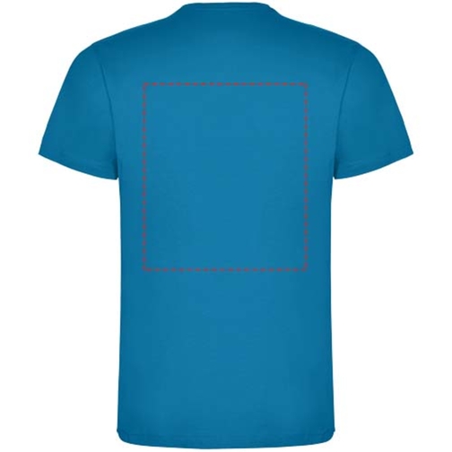 , Bild 7