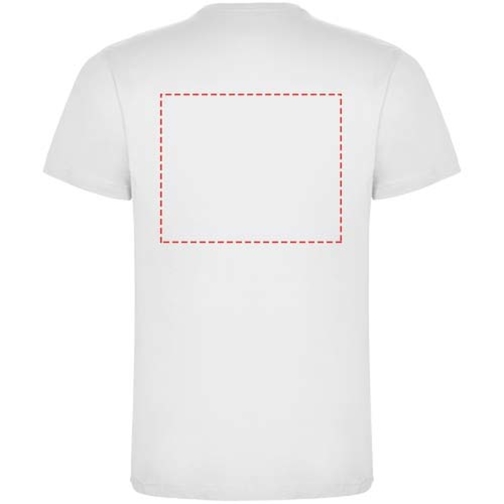 , Bild 6