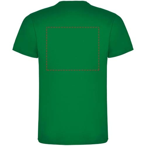 , Bild 7