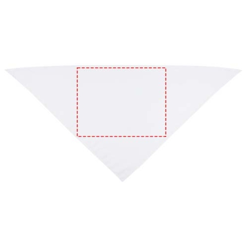Bandana Héraclès, Image 6