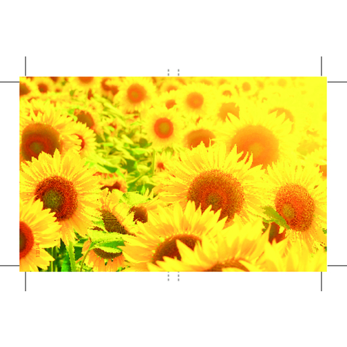 Wachstumskärtchen Sonne , gelb, Papier, Kokosfaser, Folie, Samen, 7,00cm x 0,50cm x 9,00cm (Länge x Höhe x Breite), Bild 2