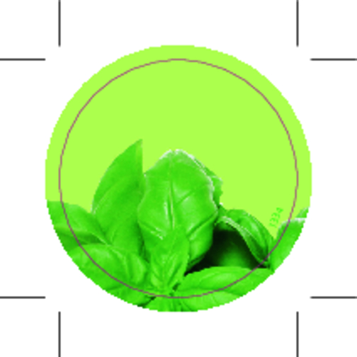 Kräuter-Glas , grün, Glas, Papier, Kokosfaser, Samen, Folie, Stoff, 9,50cm (Höhe), Bild 3