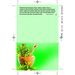 Carte à volet Herbes Aromatiques-Croquis verticaux1
