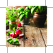 Vitamine 4 You-Standskizze2