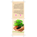 Pflanze Deinen Baum kleines Natur-Säckchen-Standskizze1