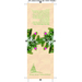 Kleines Natur - Säckchen Pflanze deinen Baum-Standskizze1