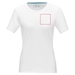 Balfour short sleeve women s organic t-shirt-Szkic opisu5