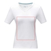 Kawartha short sleeve women s organic V-neck t-shirt-Szkic opisu9