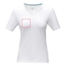 Kawartha short sleeve women s organic V-neck t-shirt-Szkic opisu8