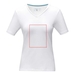 Kawartha short sleeve women s organic V-neck t-shirt-Szkic opisu10