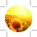 Vaso de sol-Boceto del stand1