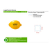 LogoFruit Lemon - Raspberry-Szkic opisu2