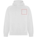 Felpa con cappuccio unisex Vinson-Schizzi dello stand13