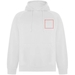 Felpa con cappuccio unisex Vinson-Schizzi dello stand6